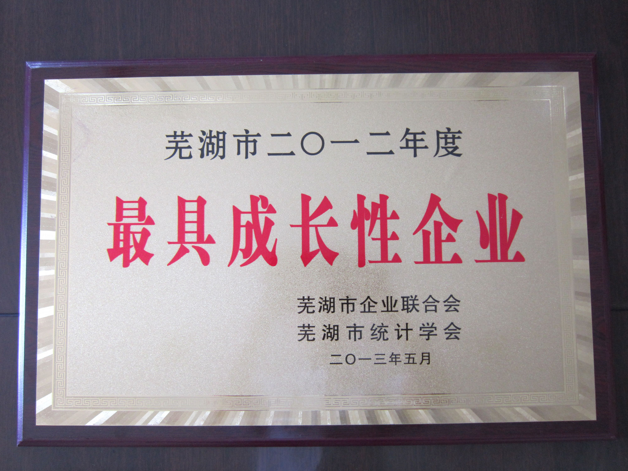 蕪湖(hú)市(shi)最具(ju)成(cheng)長(zhang)性齊(qi)業